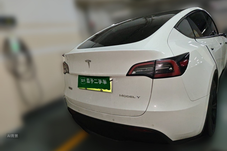 Tesla Model Y 2023 car image #6