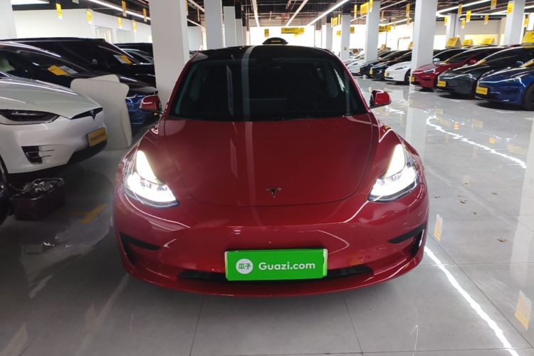 Tesla Model 3 2021 #3 Tesla Model 3 2021 car image #3