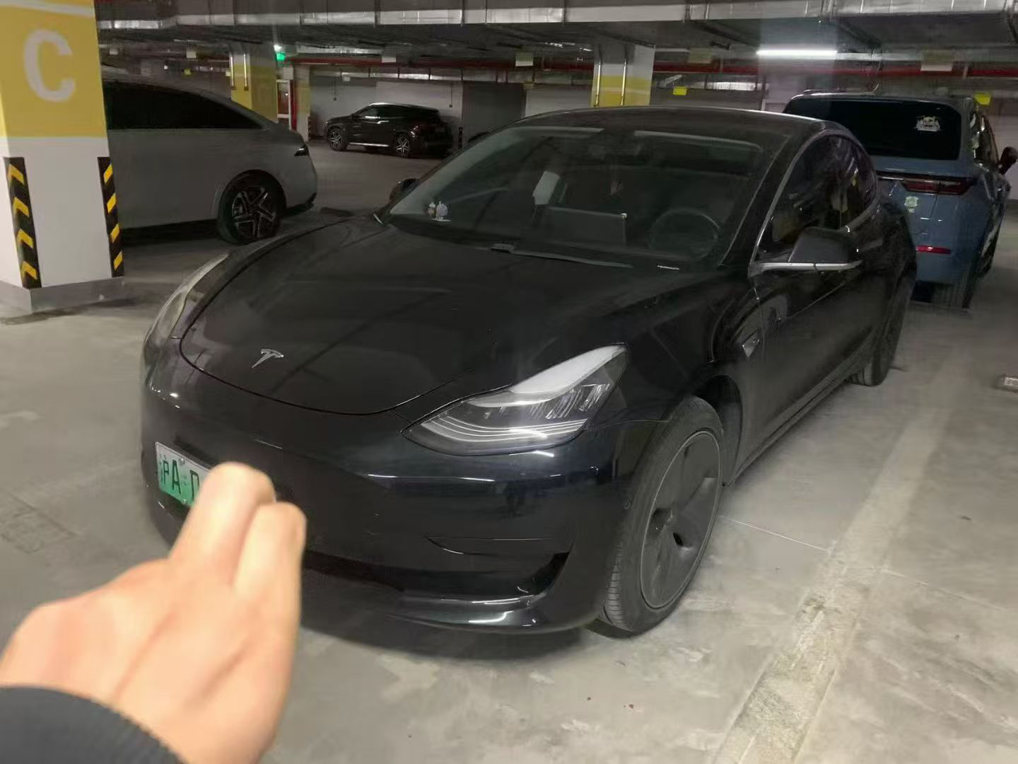 Tesla Model 3 2021 Tesla Model 3 2021 car image
