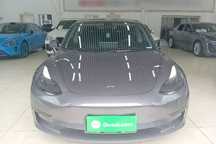 Tesla Model 3 2022 #3 Tesla Model 3 2022 car image #3