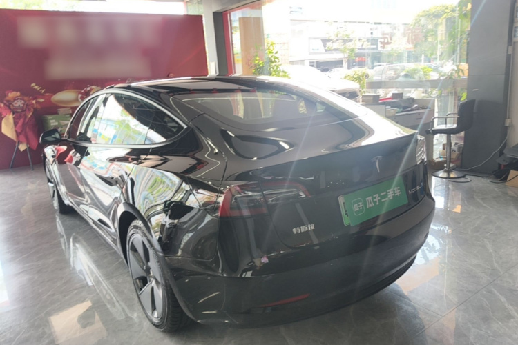 Tesla Model 3 2021 car image #5