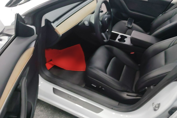 Tesla Model 3 2021 car image #16