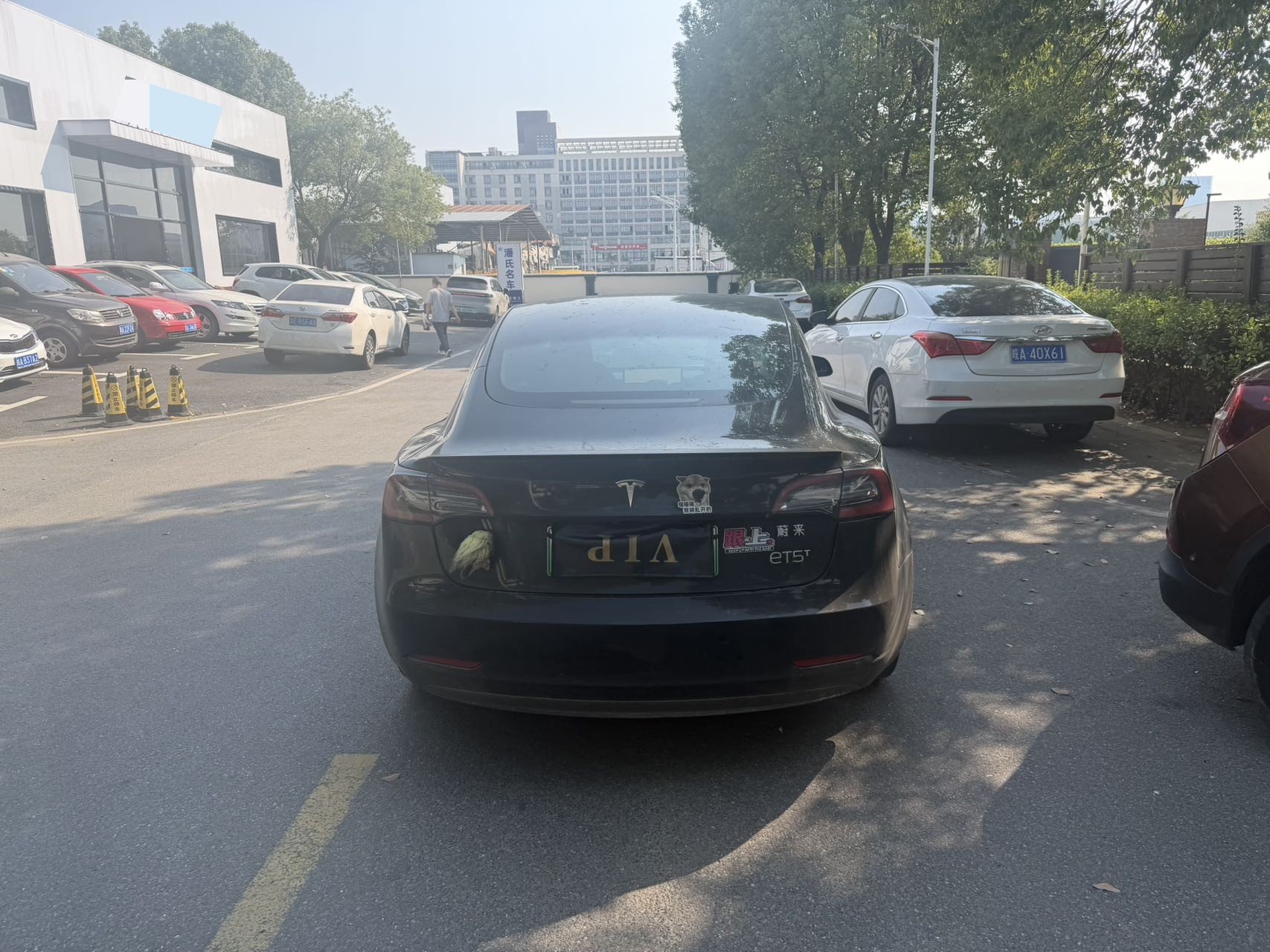 Tesla Model 3 2022 imagem de carro #8