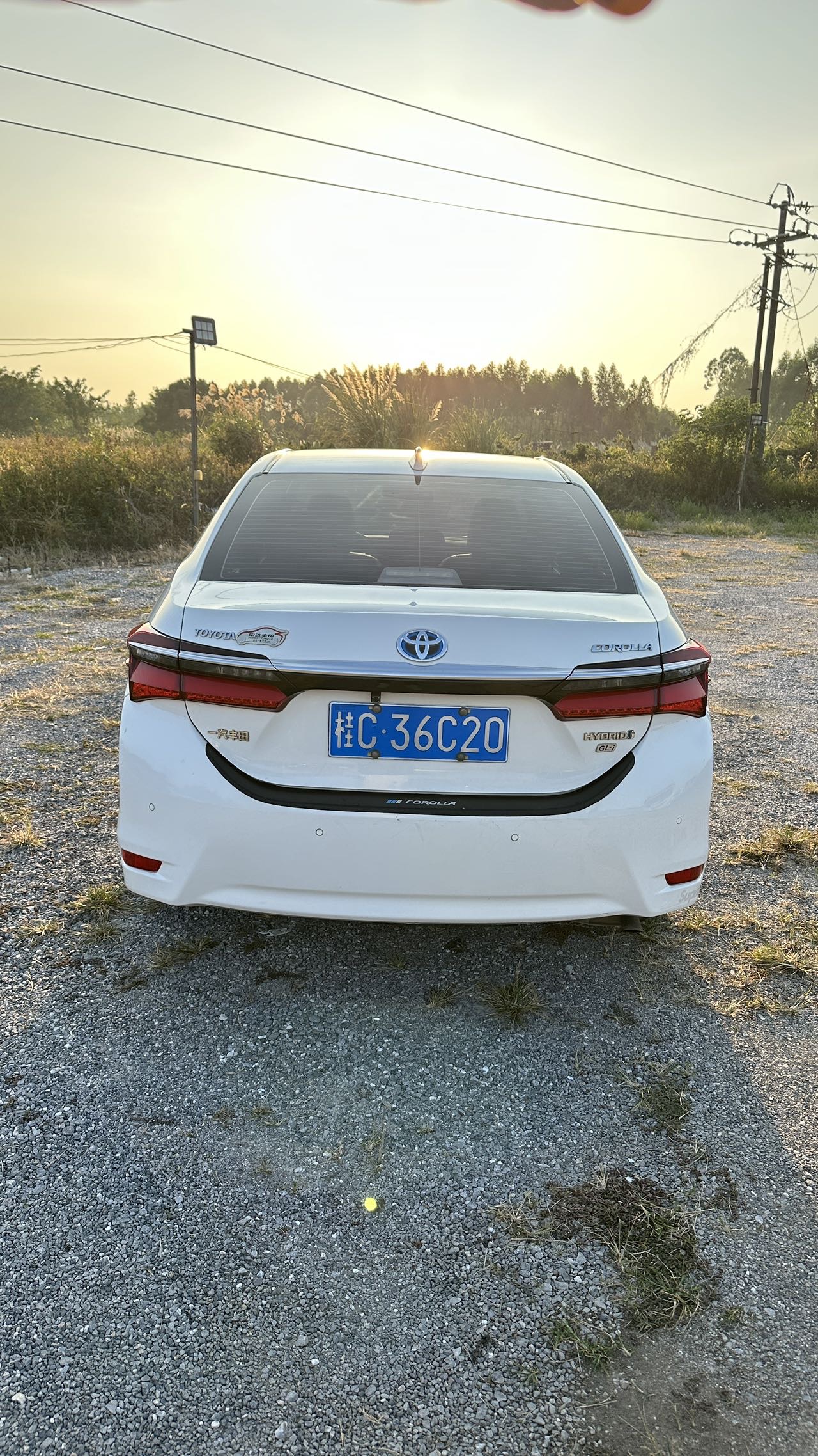 Toyota Corolla 2019 #5 Toyota Corolla 2019 immagine di auto #5