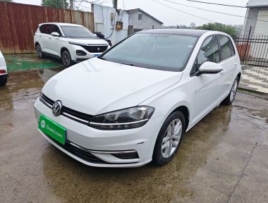 Volkswagen Golf 2019 car image 