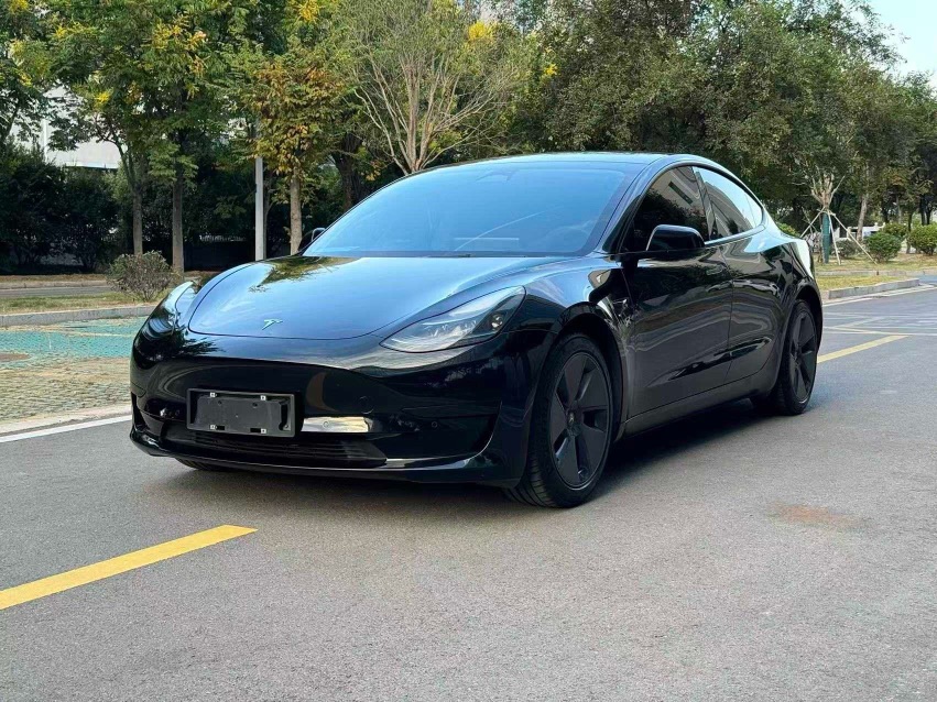 Tesla Model 3 2022 car image 