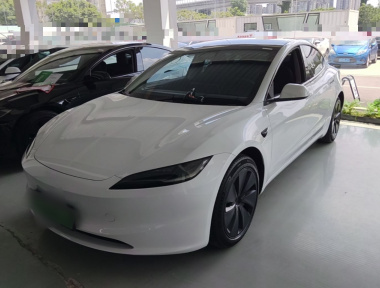 Tesla Model 3 2024 car image 
