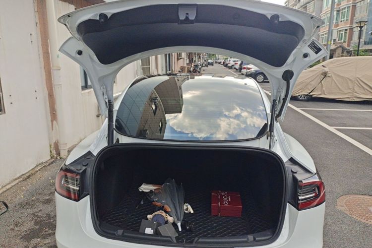 Tesla Model 3 2021 car image #19