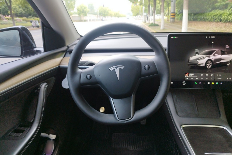 Tesla Model Y 2022 car image #12