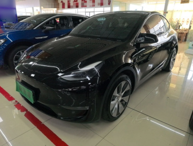 Tesla Model Y 2021 Tesla Model Y 2021 car image