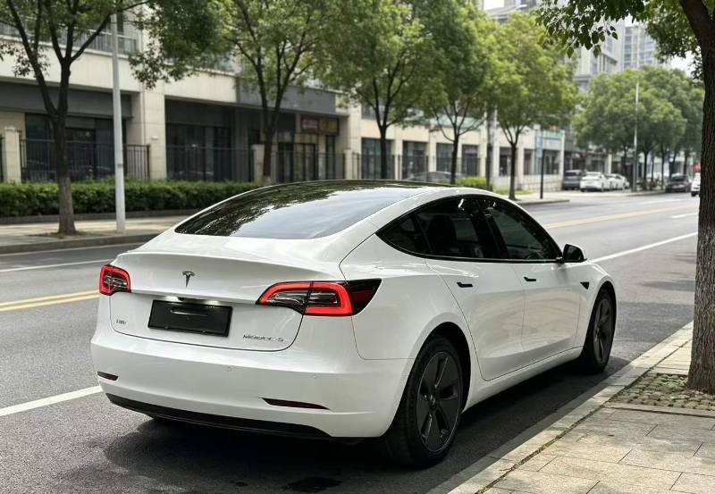 Tesla Model 3 2021 #5 Tesla Model 3 2021 car image #5