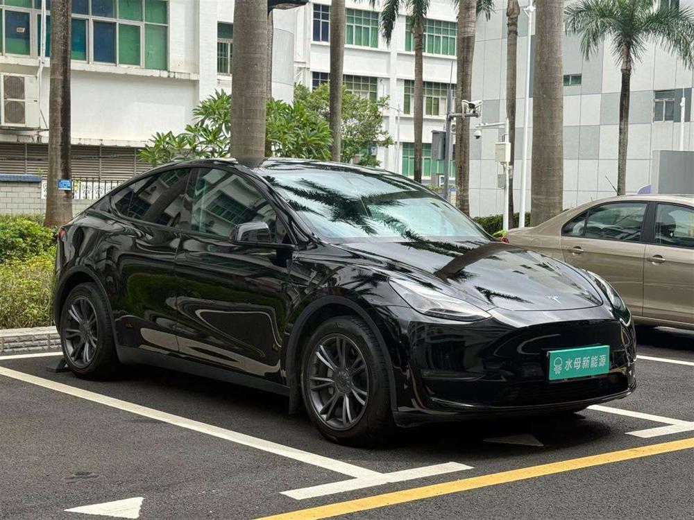 Tesla Model Y 2021 car image #3