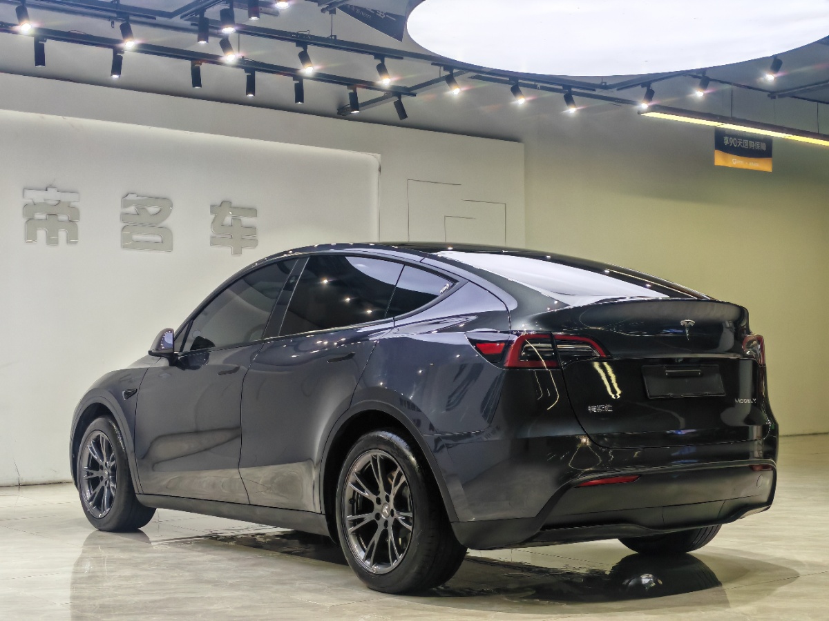 Tesla Model Y 2024 car image #7