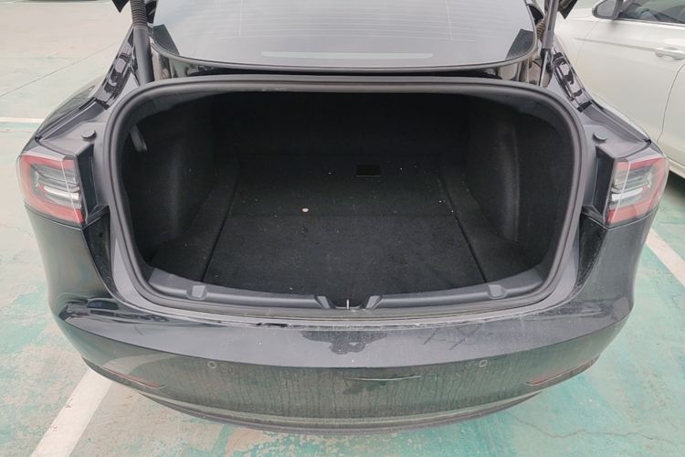 Tesla Model 3 2021 #19 Tesla Model 3 2021 car image #19