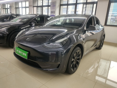 Tesla Model Y 2024 Tesla Model Y 2024 car image