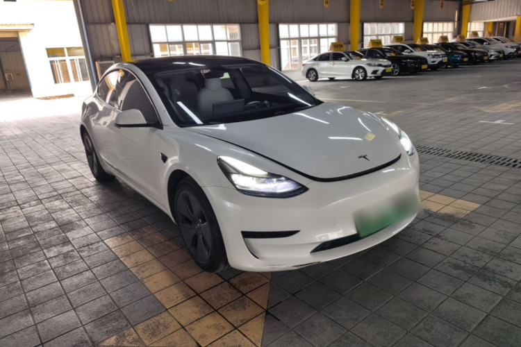 Tesla Model 3 2022 immagine di auto #4