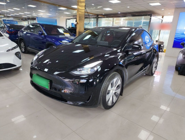 Tesla Model Y 2023 car image 