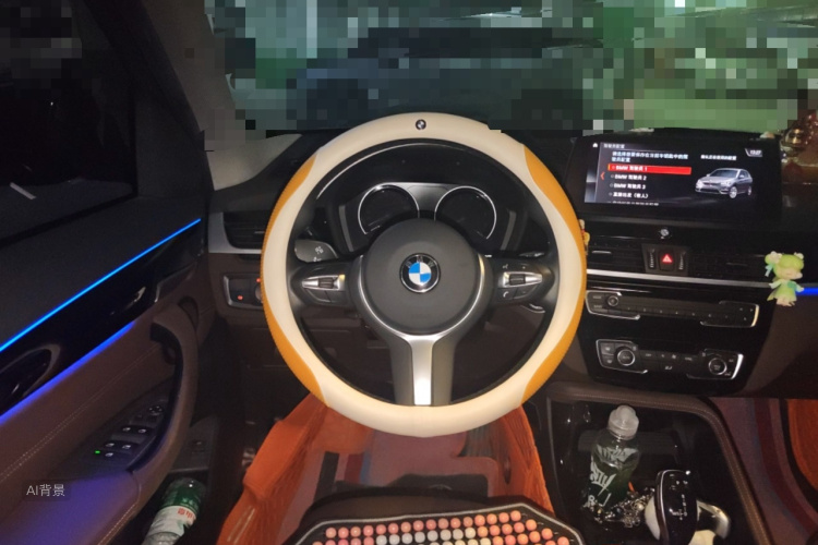 BMW X1 2020 car image #12