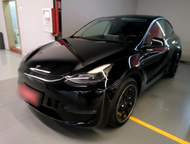 Tesla Model Y 2021 Tesla Model Y 2021 car image