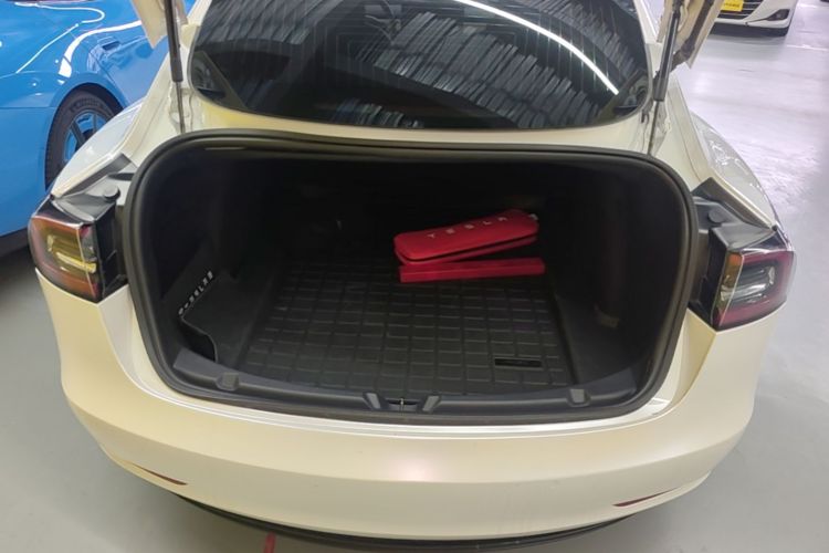 Tesla Model 3 2020 car image #21