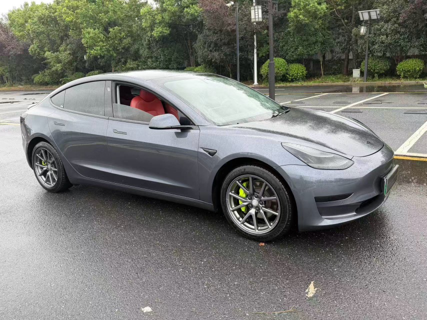 Tesla Model 3 2020 #3 Tesla Model 3 2020 car image #3