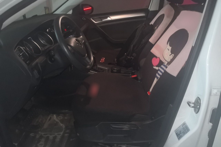 Volkswagen Golf 2019 car image #19