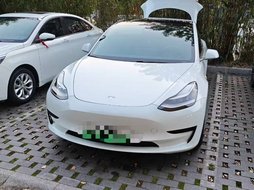 Tesla Model 3 2020 car image #2