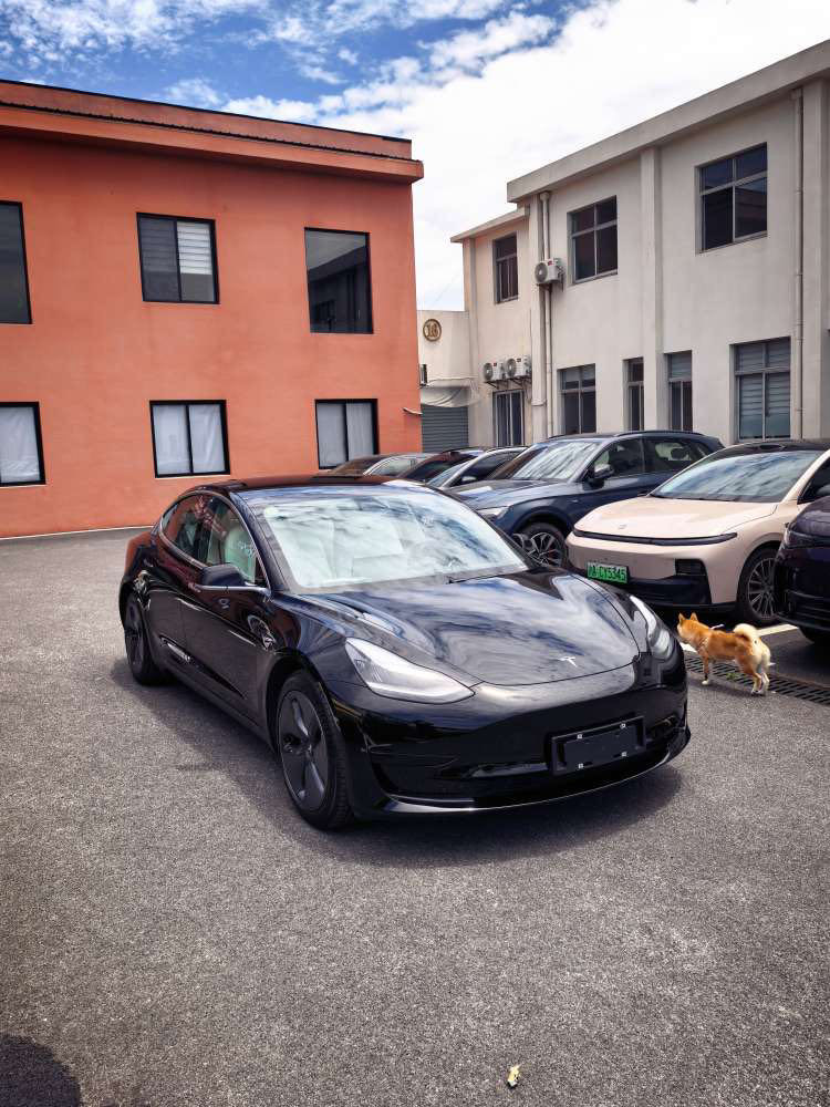 Tesla Model 3 2021 car image #3