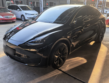 Tesla Model Y 2023 Tesla Model Y 2023 car image