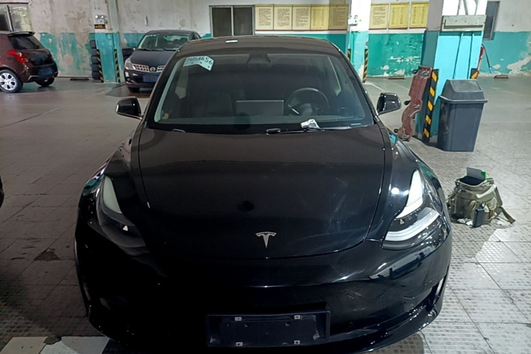 Tesla Model 3 2021 #3 Tesla Model 3 2021 car image #3