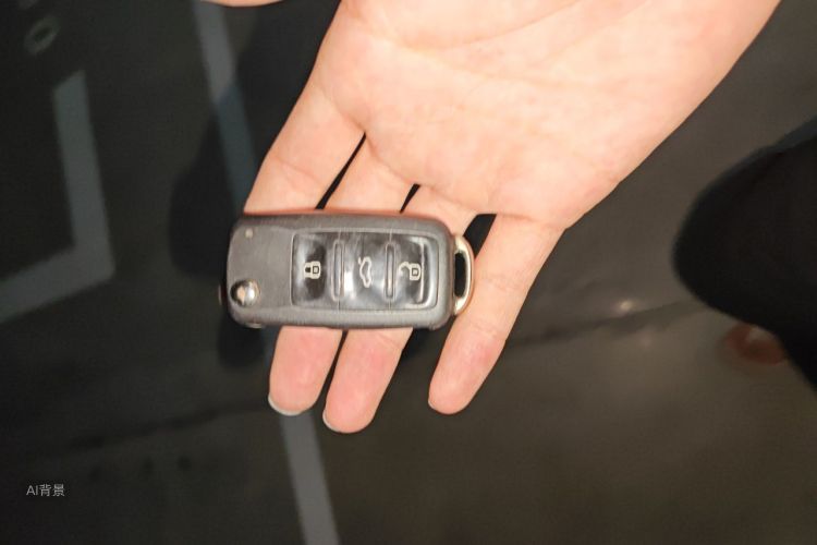 Volkswagen Lavida 2018 car image #10