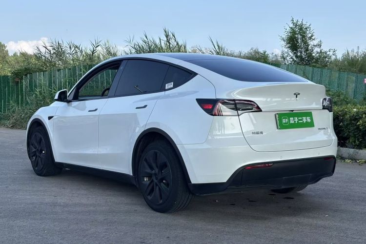 Tesla Model Y 2021 car image #5