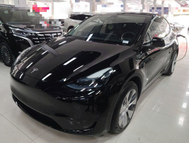 Tesla Model Y 2023 Tesla Model Y 2023 car image