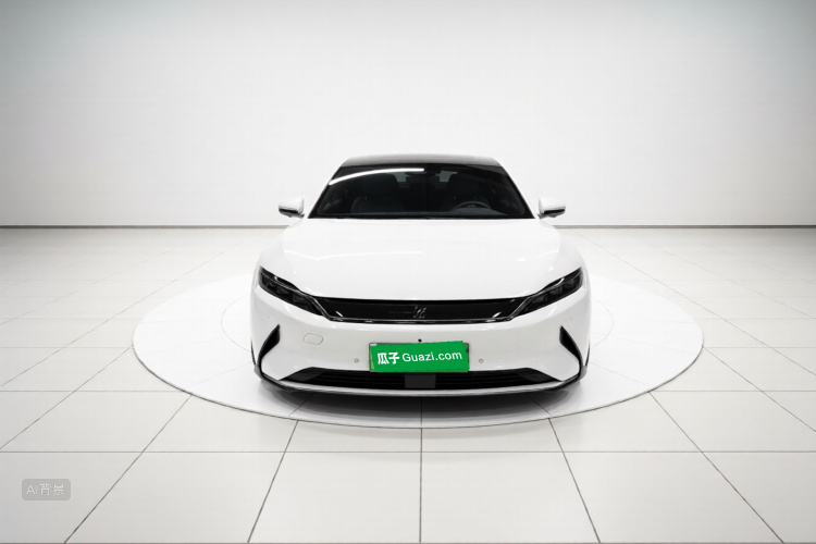 比亚迪 汉 2022 汽车图片 #3