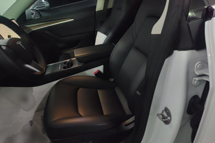 Tesla Model 3 2021 #15 Tesla Model 3 2021 car image #15