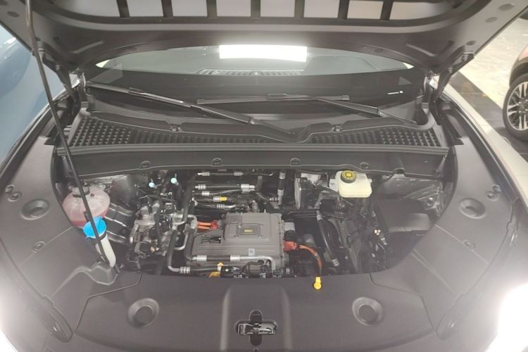BYD YuanUP 2025 car image #20