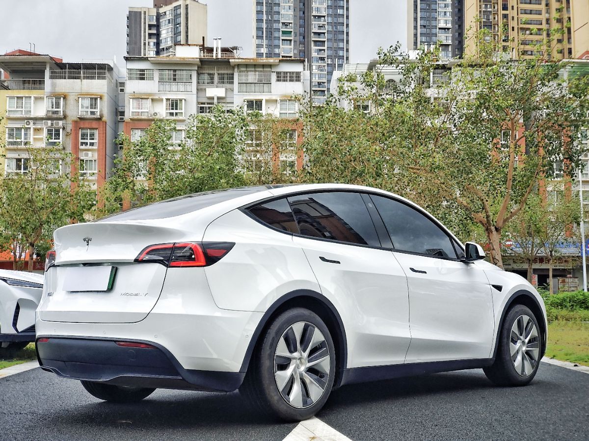 Tesla Model Y 2023 #3 Tesla Model Y 2023 car image #3