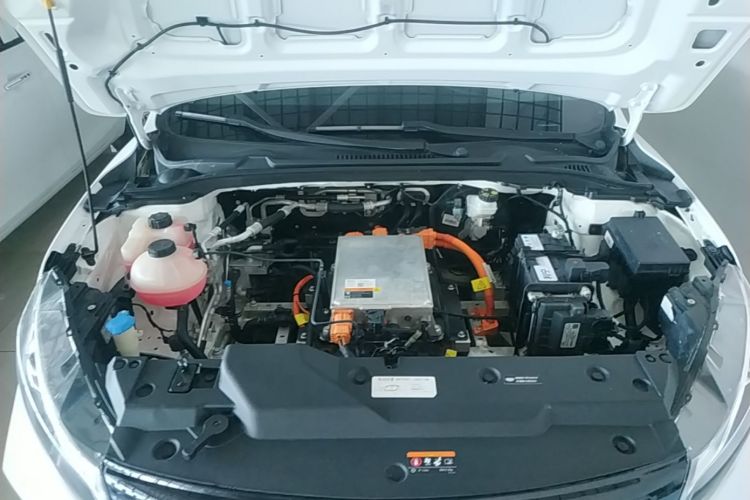 GEELY Emgrand New Energy 2021 car image #20