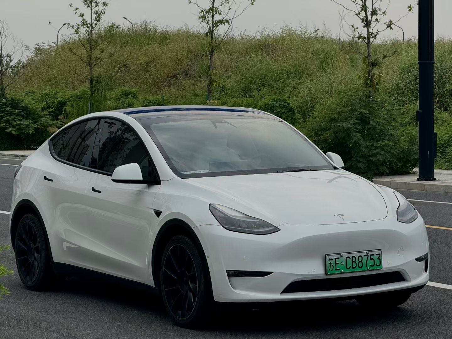 Tesla Model Y 2022 immagine di auto 