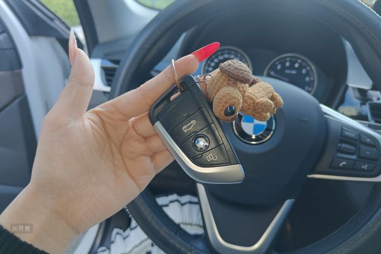 BMW X1 2022 car image #10