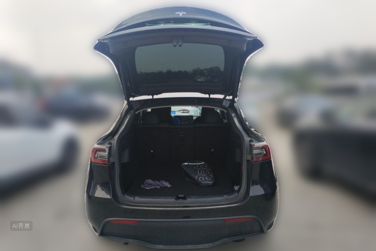 Tesla Model Y 2022 car image #21