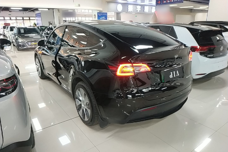 Tesla Model Y 2023 #5 Tesla Model Y 2023 car image #5