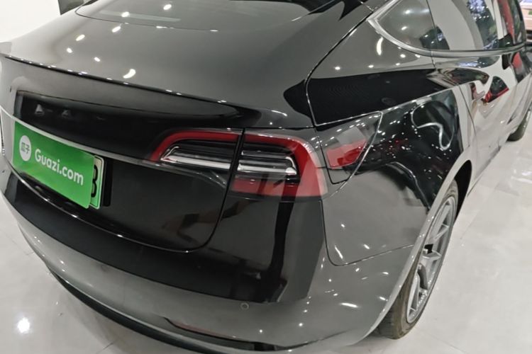 Tesla Model 3 2021 car image #8