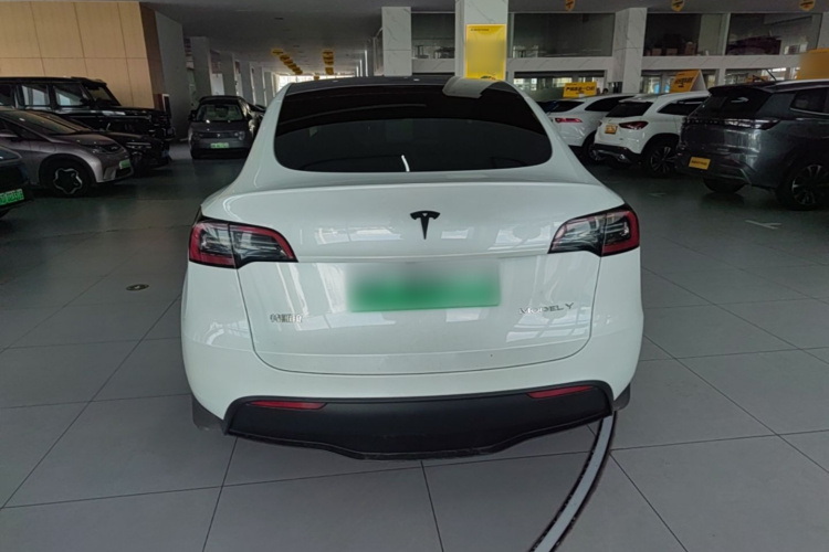 Tesla Model Y 2024 #4 Tesla Model Y 2024 car image #4