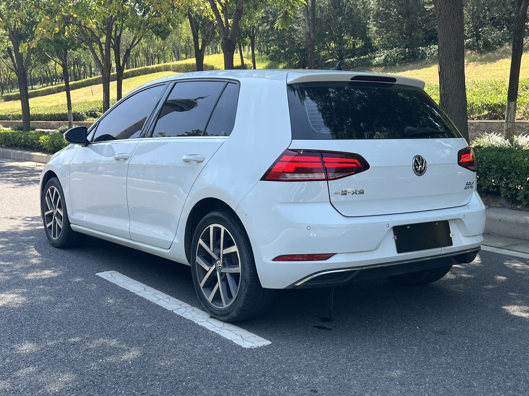 Volkswagen Golf 2020 car image #6