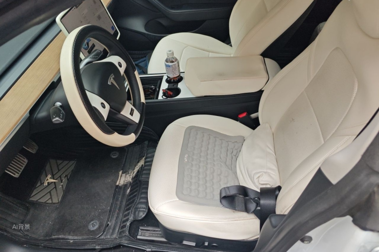 Tesla Model 3 2021 #17 Tesla Model 3 2021 car image #17