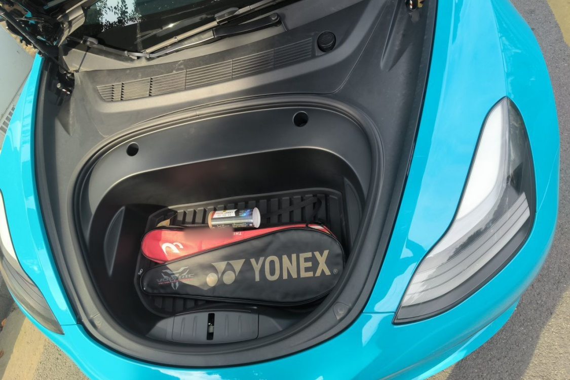 Tesla Model 3 2021 car image #12