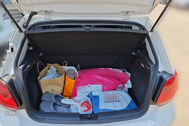 Volkswagen Polo 2019 car image #21