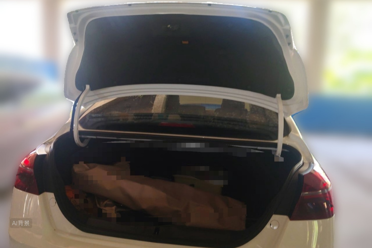 GEELY Emgrand 2021 immagine di auto #21