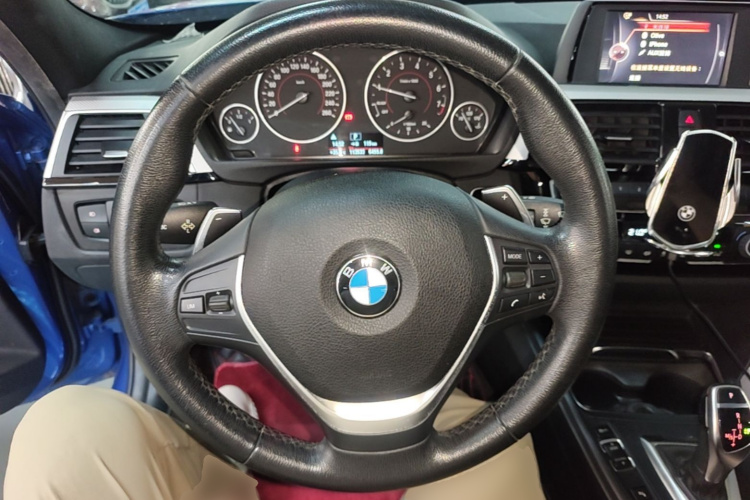 BMW 3 Series 2017 car image #11